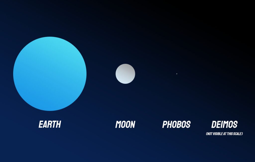 Comparative Analysis: Phobos and Deimos