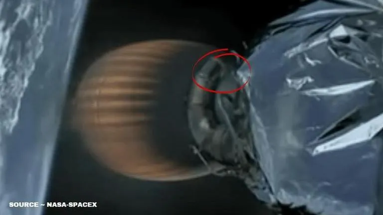 Mouse on spacex rocket